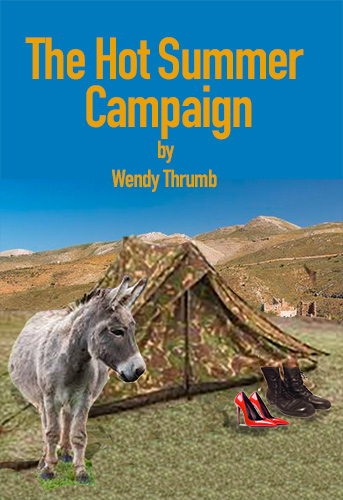 Hot Summer Campaign